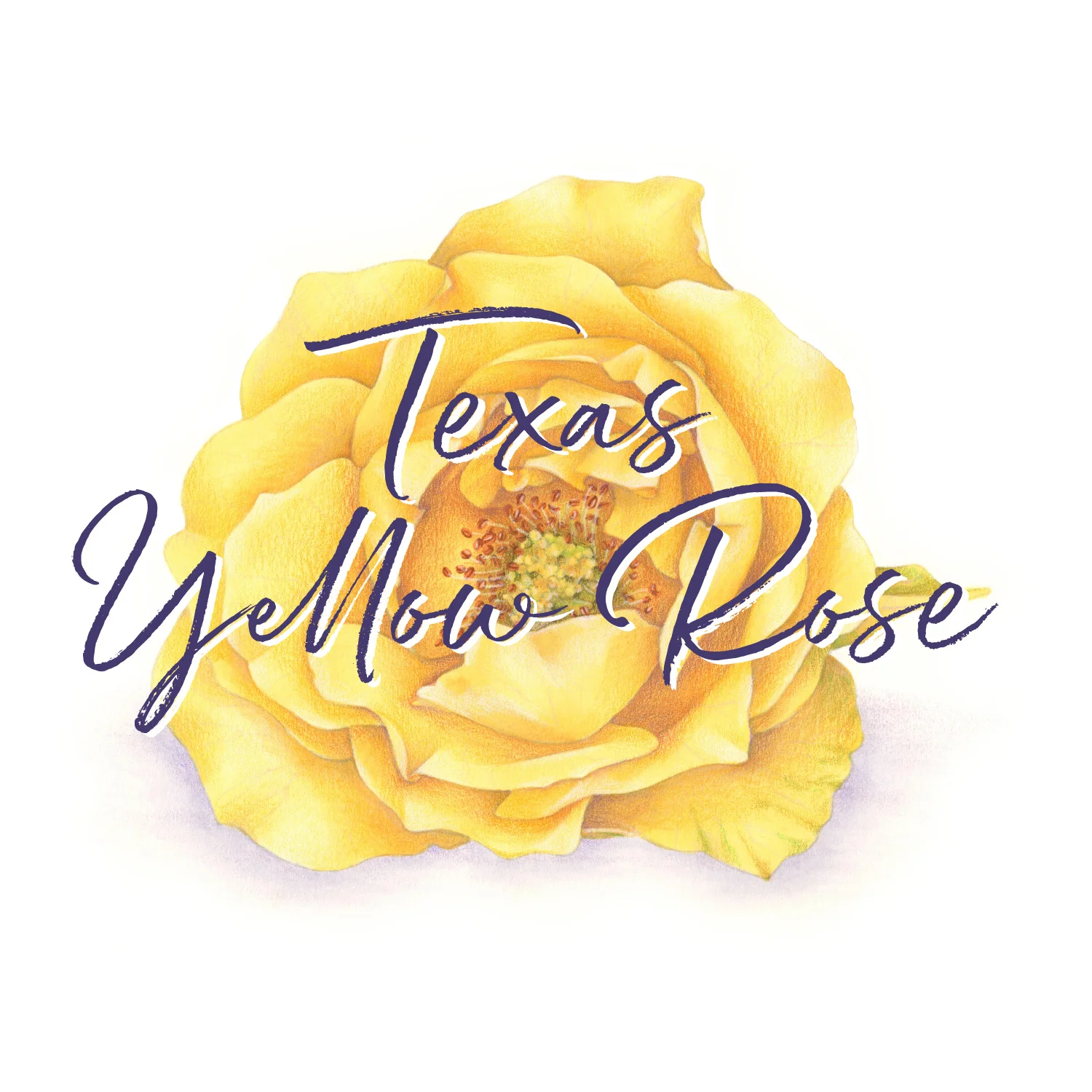 Texas Yellow Rose - Digital Stamp + Retreat Booklet — Vanilla Arts Co.